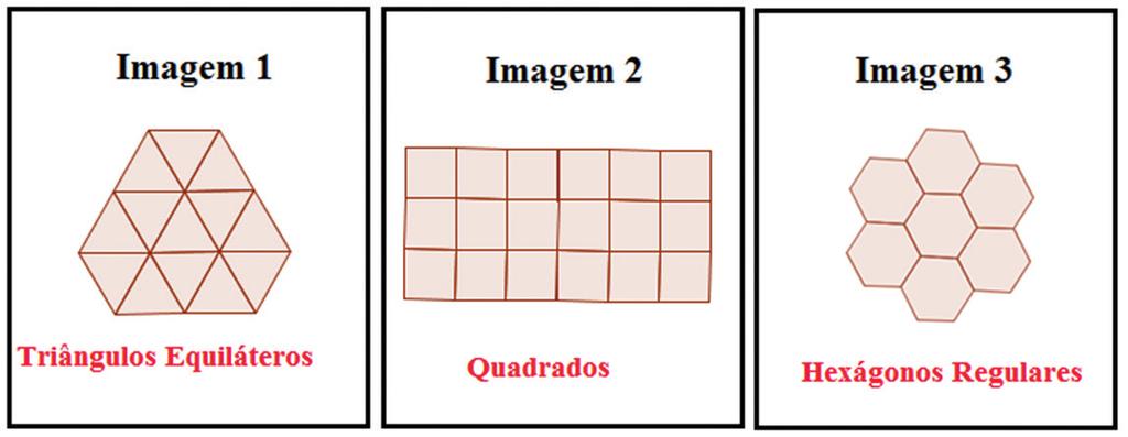 No texto inicial, vimos que as abelhas armazenam o mel em alvéolos hexagonais fazendo um tipo de ladrilhamento.