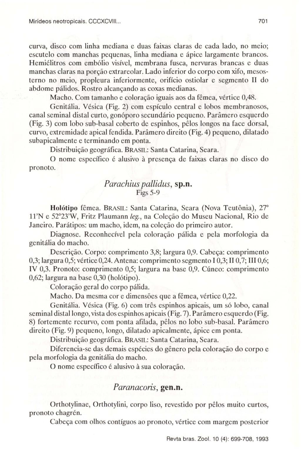 Mirídeos neotropicais. CCCXCVIII... 701 curva, disco com linha mediana e duas faixas claras de cada lado, no meio; escutelo com manchas pequenas, linha mediana e ápice largamente brancos.