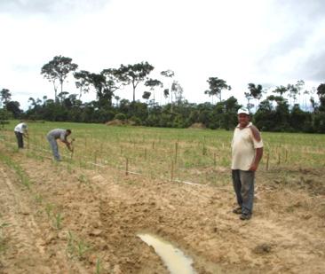 Beneficiaries Fonte: EMBRAPA Indigenas Pequeños,