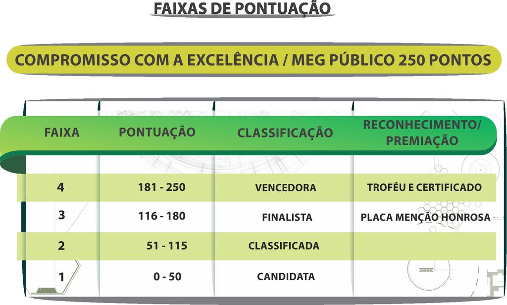 MODALIDADE GESTÃO As vencedoras do Prêmio Qualidade Amazonas nesta modalidade serão premiadas através de: Troféu Diamante Troféu Ouro Troféu Prata Troféu Bronze Troféu 250 Pontos Existem duas