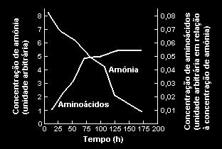 07. (Unirio) Stanley Miller, no início da década de 50, montou um experimento que hoje é um dos suportes da hipótese de origem da vida na Terra, expondo uma mistura de gases prováveis da atmosfera