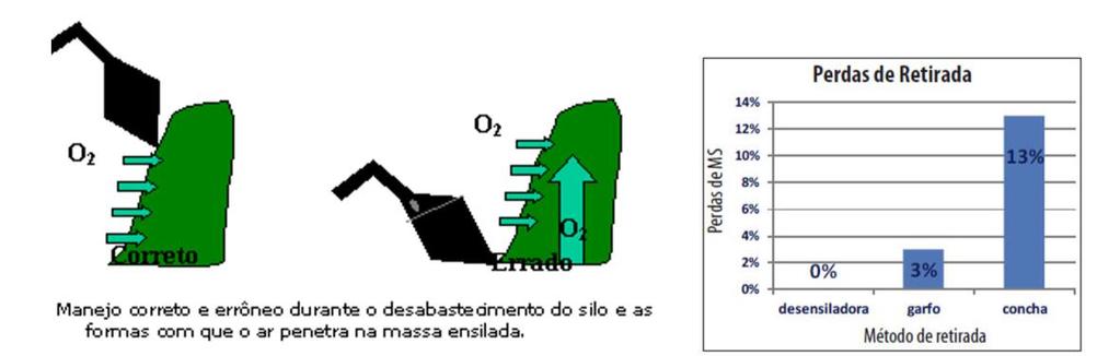 A retirada e a distribuição lenta diminuem a vida útil da silagem no cocho, que se manifesta com a elevação da temperatura.