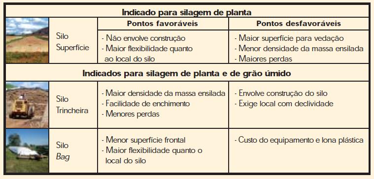 Fonte: Guia de campo. DSementes Agroceres Disponível em: http://ccpran.com.br/upload/downloads/dow_3.