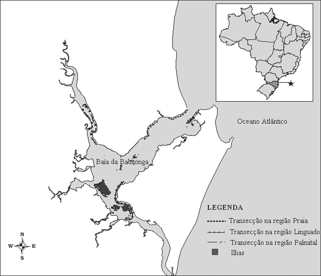 Ocorrência de aves marinhas no estuário da Baía da Babitonga, costa norte de Santa Catarina, sul do Brasil 177 baixa (Cremer 2006).