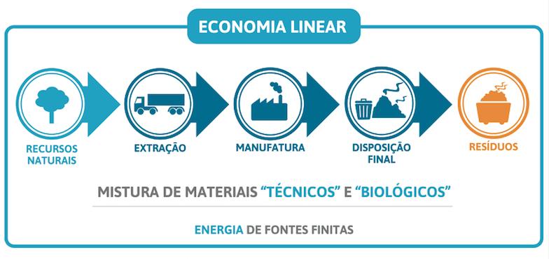 Sustentabilidade e Bioeconomia Fonte: Beatriz Luz e Claudia