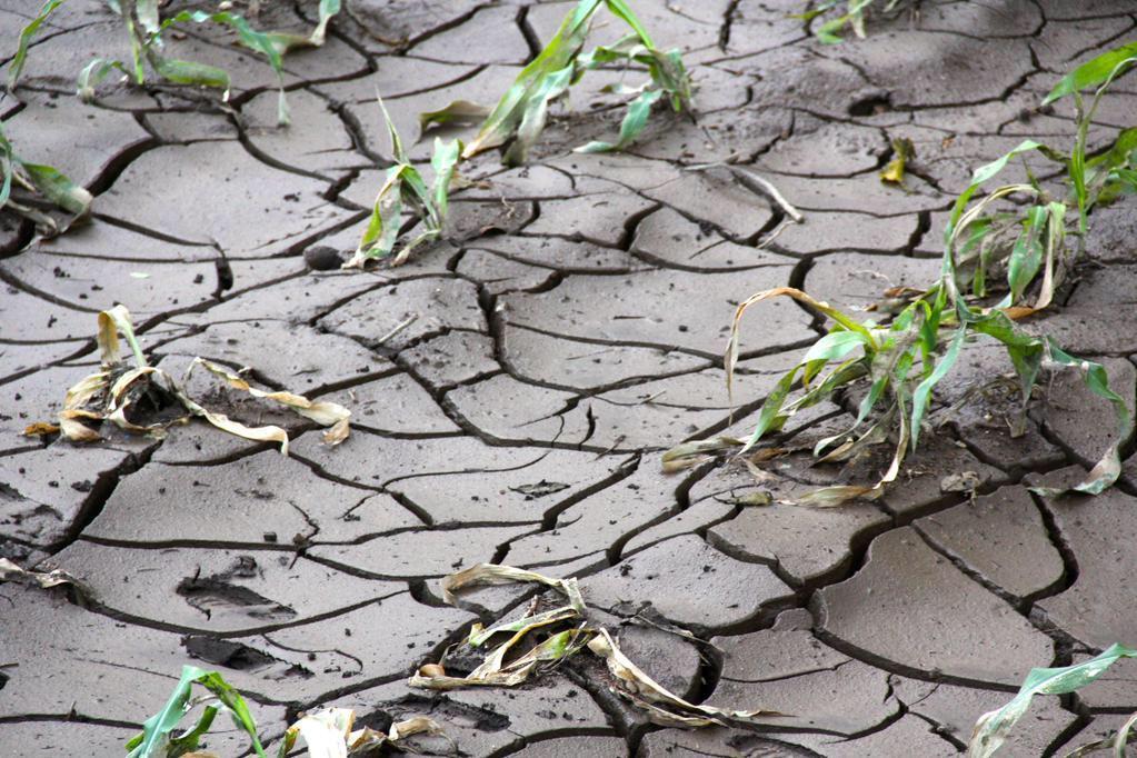 Megatendências: Interações e Impactos Atenção