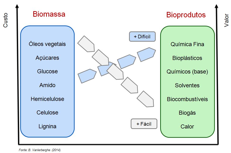 O Futuro é Bio Biomassa - da