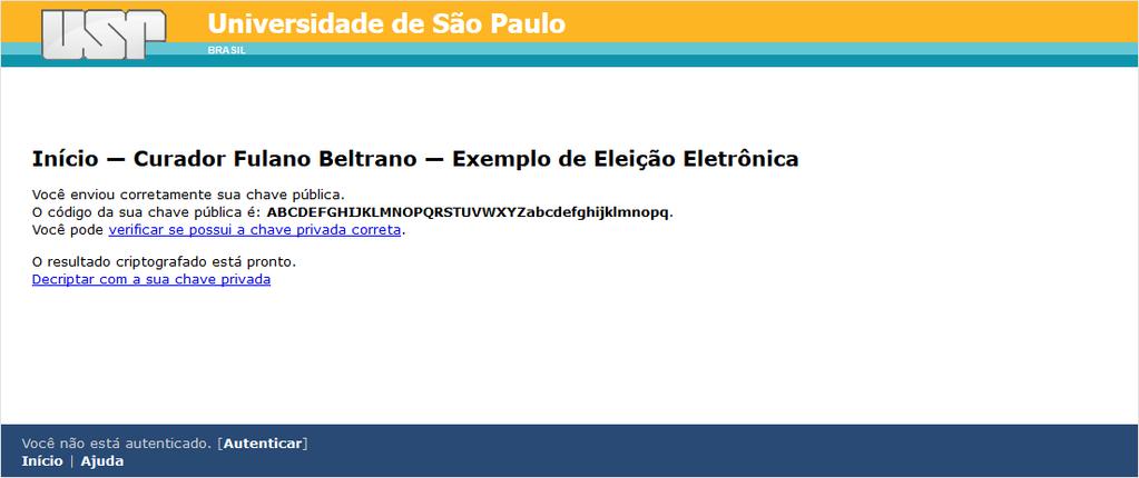 Para decriptar o resultado da votação, pressione o link Decriptar com a sua chave privada e o