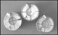 ram seccionados em quatro partes, com discos de carboneto de silício (Dentorium, U.S.A.) e refrigerados a ar, em torno de bancada de alta rotação (Nevoni, Série 1541, Tipo F56).