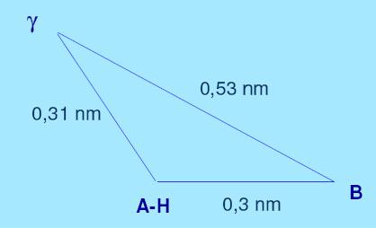 Adoçantes Sítio (gama): região não polar dentro da molécula, completando um triângulo com os grupos AH,