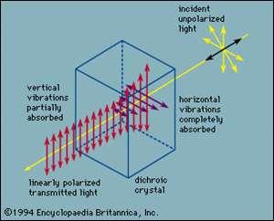 Polarização por dicroismo Certos cristais e materiais sintéticos podem apresentar diferentes graus de absorção, conforme a polarização da radiação. Esta propriedade é chamada dicroismo.