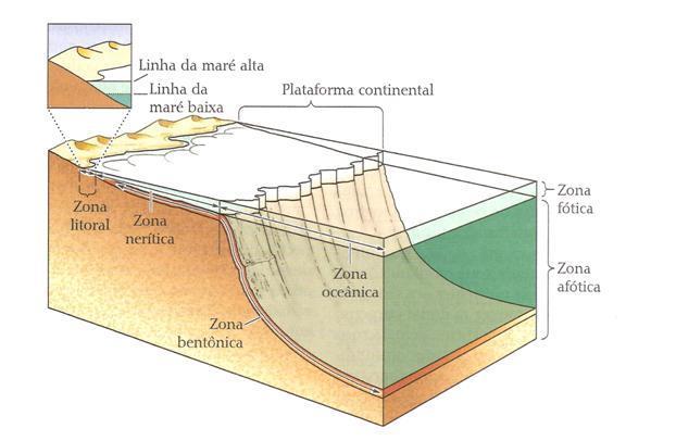 Oceanos Cobrem 2/3 da superfície terrestre Abaixo da superfície da