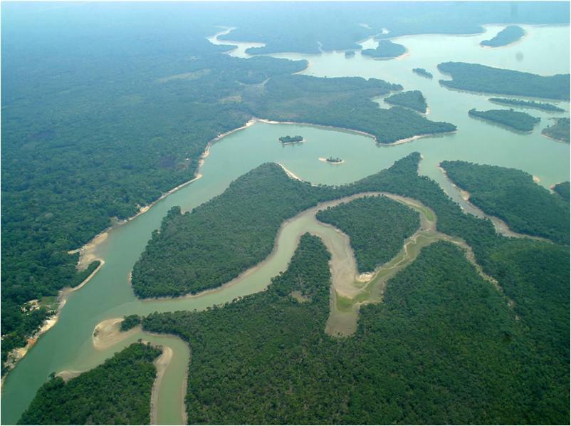 Biomas brasileiros Amazônia Floresta Pluvial Tropical Na Amazônia vivem + 1/3 de todas as espécies existentes no planeta.