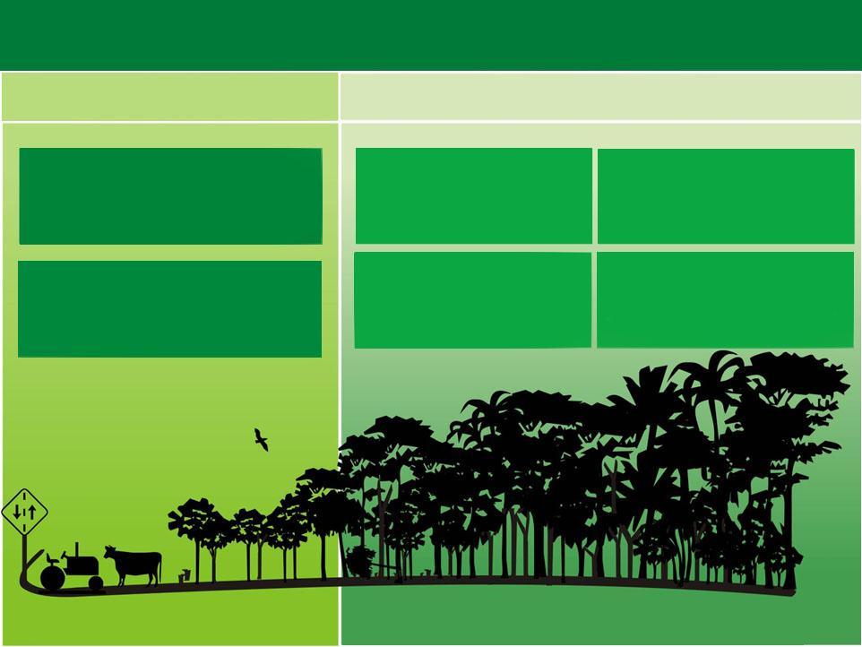 Valoración del Activo Ambiental Programa de Recuperación de Áreas Alteradas Programa del Activo Forestal Projeto de Reflorestamento (Floresta Plantada) Projeto de Recomposição de Áreas Alteradas