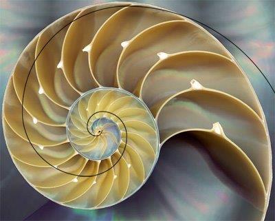 Sequência de Fibonacci.