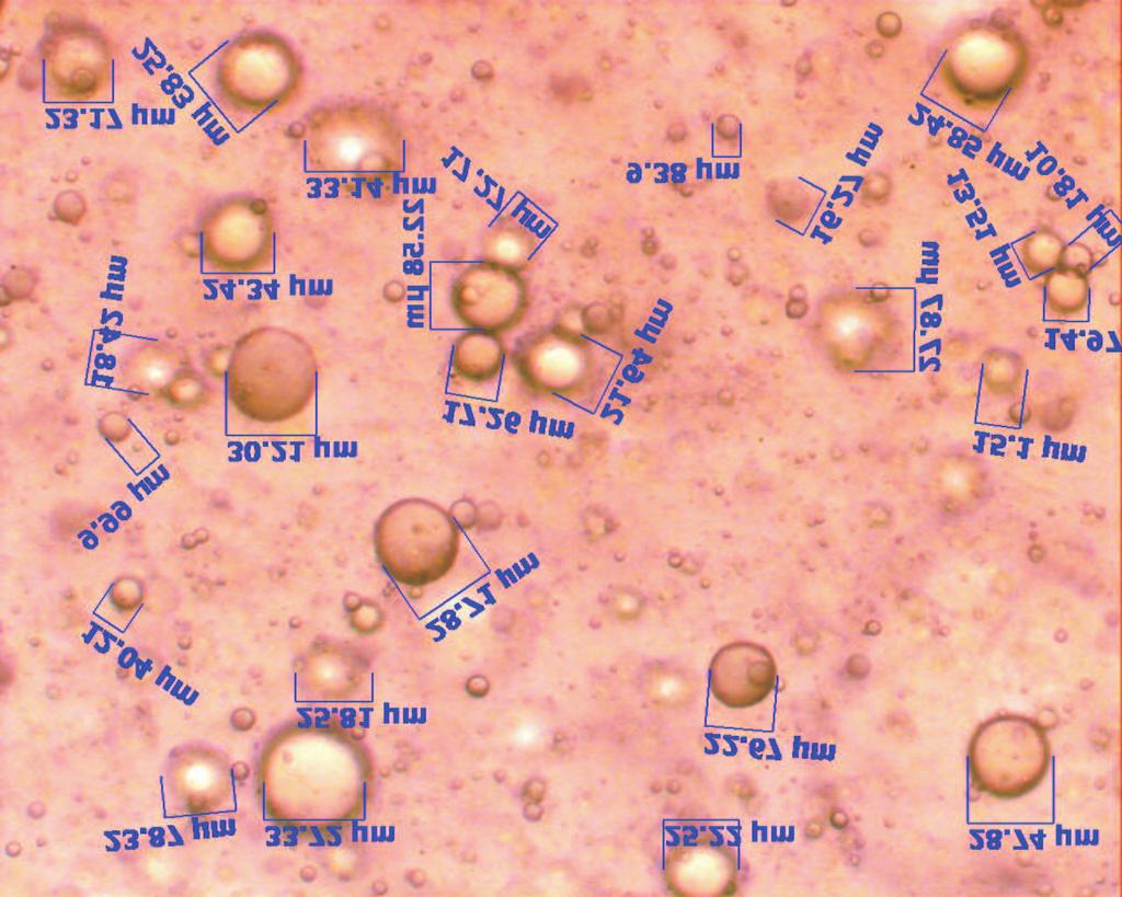 Capítulo 4. Caracterização do Corpo de prova e dos Fluidos 69 Figura 4.9: Fotografia mostrando as medidas de diâmetro das gotas da emulsão D 2 = 20 µm.