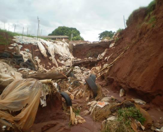 ações antrópicas, tendo como agravante a deposição de restos de construções, podas e lixos domésticos