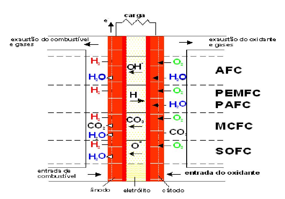 Sólidos (SOFC Solid Oxide Fuel Cells) e as Células de Carbonato Fundido (MCFC Molten Carbonate Fuel Cells).