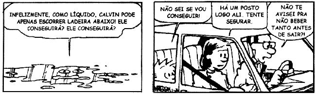 Geografia Avaliação Produtiva No quadrinho acima, Calvin nos chama a atenção para a grande quantidade de água presente em nosso organismo.