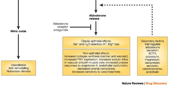 Nature Reviews Drug