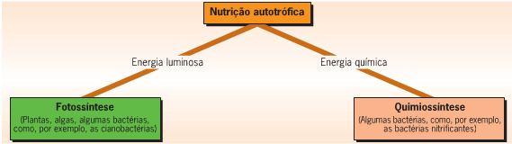 A autotrofia envolve dois processos: Fotossíntese realizada por organismos fotossintéticos, também chamados