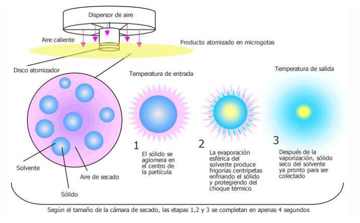 Secador por aspersão ou atomizador Processo conhecido por pulverização ou spray dryng Processo