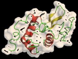 Histórico A cristalização de enzimas purificadas permitiu que as suas estruturas moleculares pudessem ser