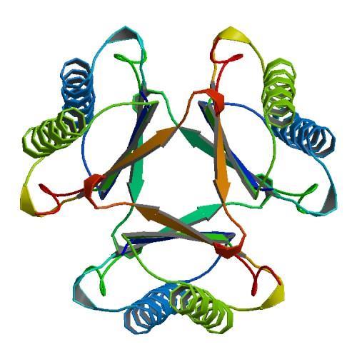 Estruturas e mecanismos As enzimas são proteínas, e podem ter um tamanho desde 62 resíduos de aminoácidos, como é o caso do monómero da enzima 4- oxalocrotonato