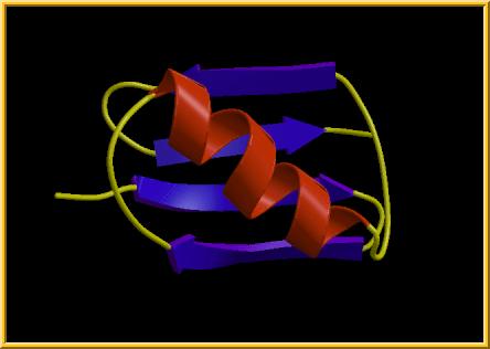 Inserções e Remoções vs Estrutura da Proteína Porque é que duas sequências semelhantes podem ter muitas