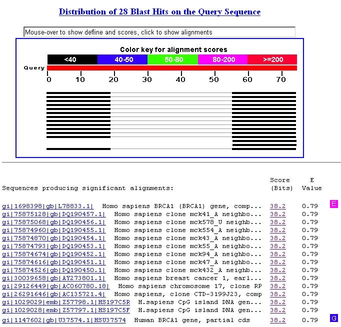 Exemplo de Uso do BLAST Comparative Genomics: