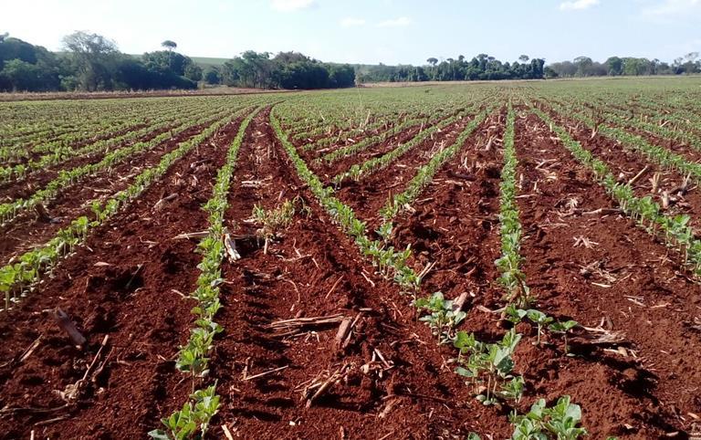 EQUIPAMENTOS DE AGRICULTURA DE PRECISÃO Barra de luz; Piloto elétrico; Piloto hidráulico; Controle de população de sementes; Taxa