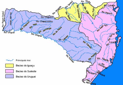 Biogeografia de quirópteros da Região Sul (figura 4). Para cada bacia, há de sete a doze rios que contribuem em importância ecológica e econômica para a Região.