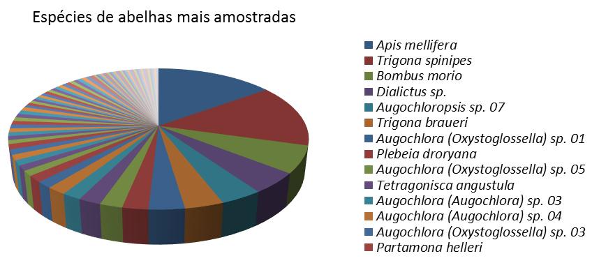 18 Figura 3 Espécies de abelhas mais amostradas na Vila da Glória, entre janeiro/2001 e dezembro/2003. Observou-se que 11 espécies amostradas neste estudo não estão assinaladas em Moure et al.