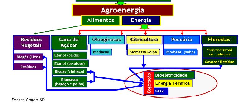 OPÇÃO