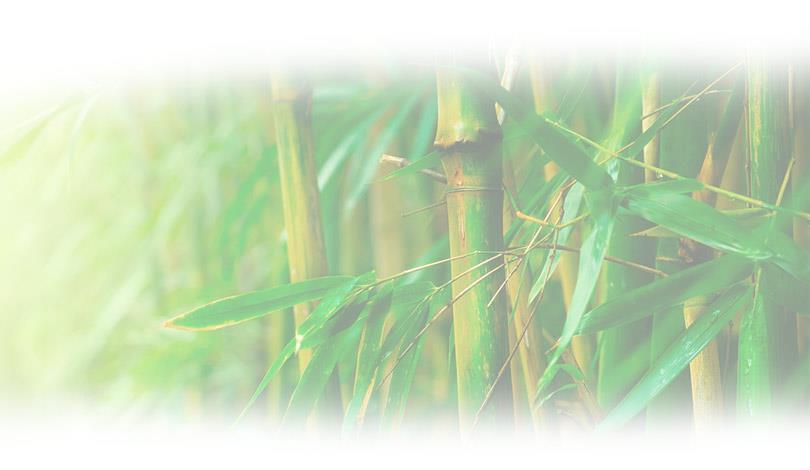 Da natureza, o Reiki tomou como símbolo o bambu. O bambu, apesar de forte, é flexível.
