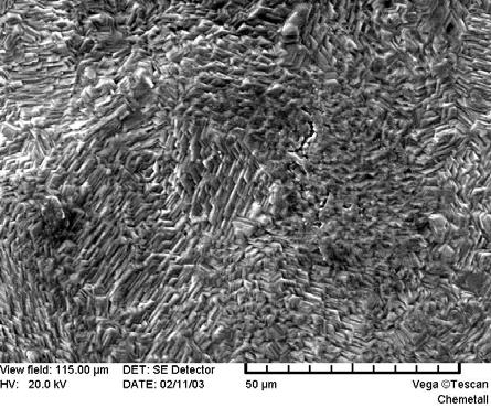 Microfotografias