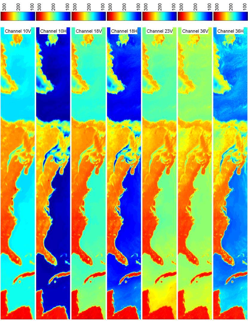 The 10 to 89 GHz channels show the contrast between the warm land and cold