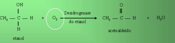 OXIDAÇÃO