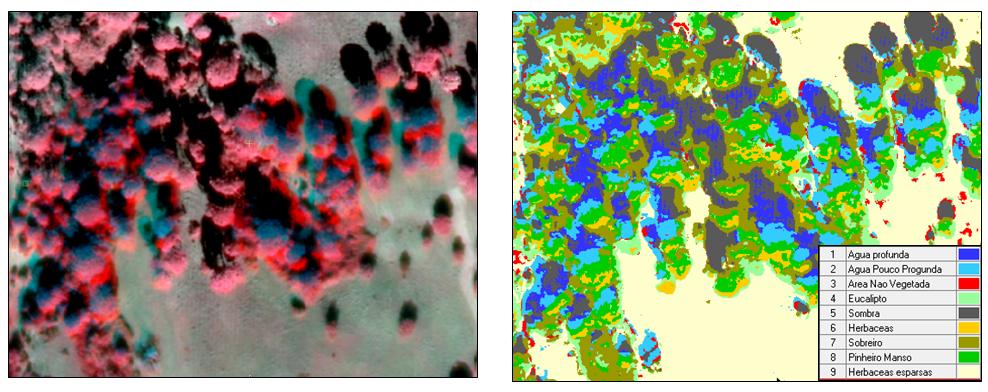 nas espécies vegetadas e que existia na Imagem Aérea uma grande confusão espectral entre a classe Sombra (S) e Água Profunda (AP).