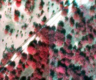 Uma imagem aérea orto-rectificada (ortofotomapa) é um mosaico de várias fotos orto-rectificadas.