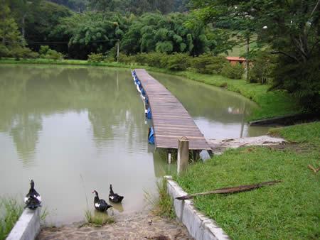 Plataforma de madeira em açude, facilitando a condução do animal, sendo que do lado direito é exercicio de caminhada com água na altura do tórax e no lado esquerdo é