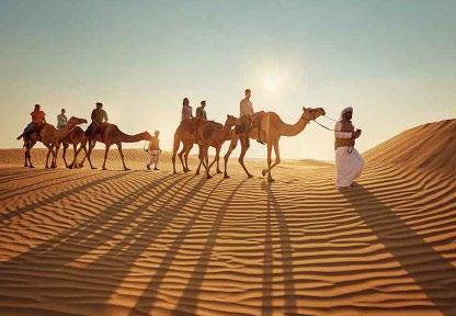 Arabian Desert Experience