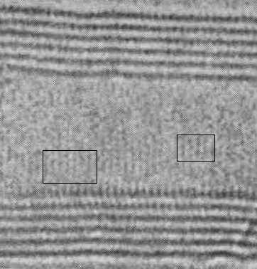 Anaĺıticas 66 Figura 4.17: Micrografia de HREM de um nanotubo de carbono aonde algumas regiões do caroço aparecem.