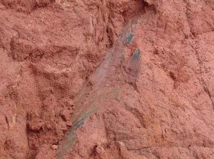 41 Observou-se que o maciço de solo do Corte 1 é composto, em sua maior parte, por solos provenientes de alteração de basalto, cuja textura varia de basaltos afaníticos vesículo-amigdaloidais até