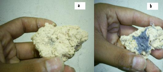 27 Figura 3.5 - Diferença das estruturas do RIP compactado a distintas umidades. Na Figura 3.6 se apresenta uma comparação com RIPs estudados por Klaus et al.