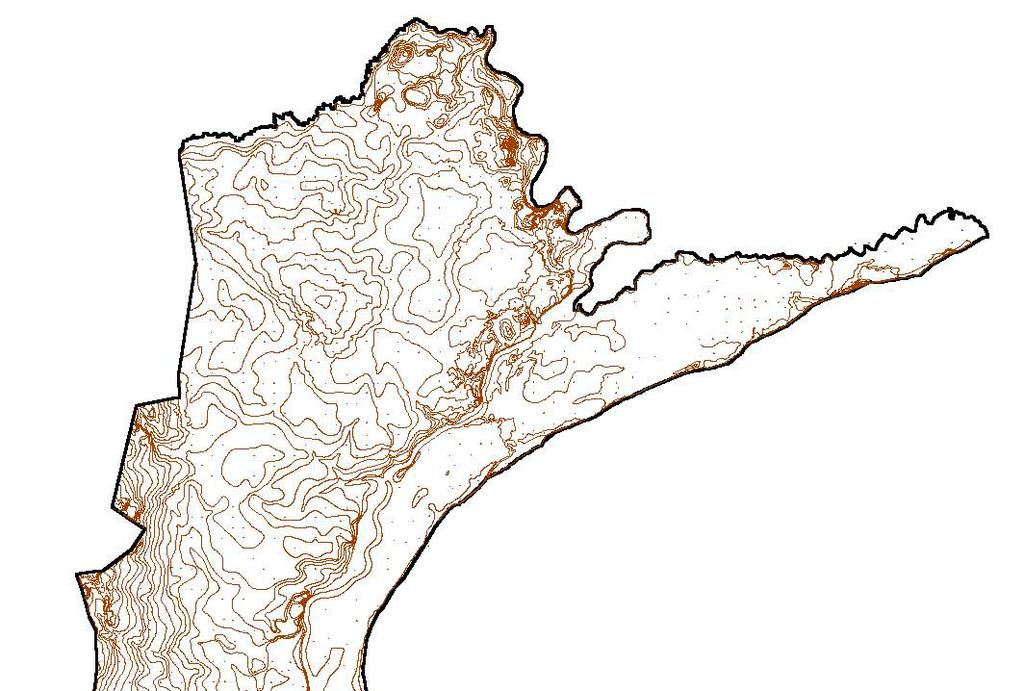 Figura 2-Altimetria do PEVRI (construída em Arcview 3.2 - ESRI, 1998). Em seguida, as curvas de nível foram convertidas para o formato ASCII-SPRING no software SPRING 4.