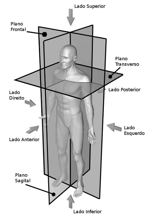 36 Análise de estabilidade Figura 5.1: Planos anatómicos de um humanoide[46] 5.