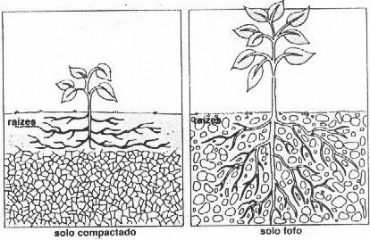 2.3 - Subsoladores: São implementos que trabalham o solo para promover a desagregação de camadas compactadas, a fim de facilitar a penetração das raízes das culturas, da água e do ar, para as camadas