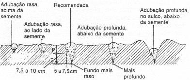 fertilizantes, elas serão denominadas, Semeadora-adubadora, plantadora-adubadora e transplantadora-adubadora, respectivamente. 2 - FATORES QUE AFETAM A SEMEADURA: 2.