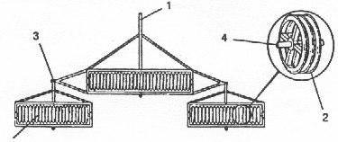 Figura 10